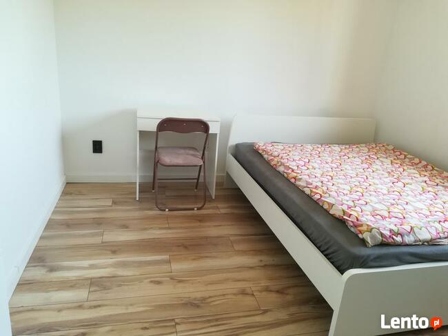 Dom na Mazurach do wynajęcia