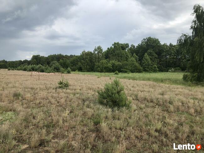 Kolankowo - Prądocin