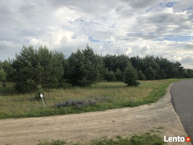 Kolankowo - Prądocin