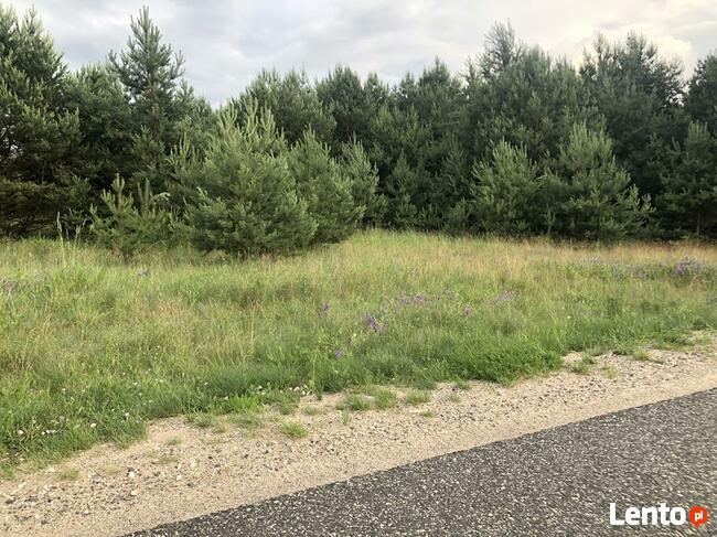 Kolankowo - Prądocin