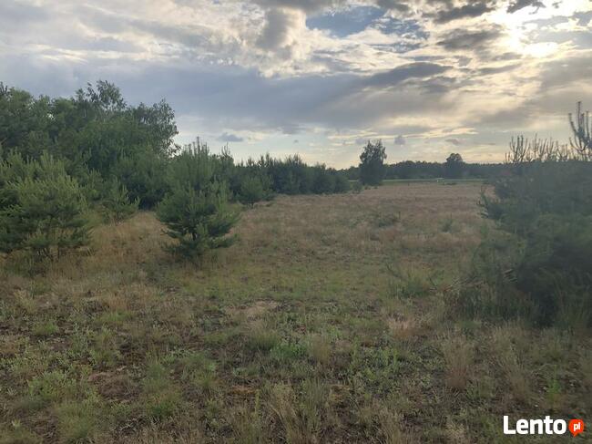 Kolankowo - Prądocin