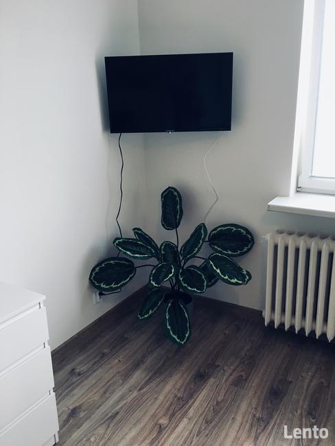 Apartament w centrum Gdyni na wynajem krótkoterminowy