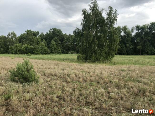 Kolankowo - Prądocin