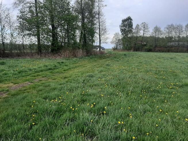 Sprzedam 3300 m2 blisko Tuszyna i Piotrkowa Trybunalskiego