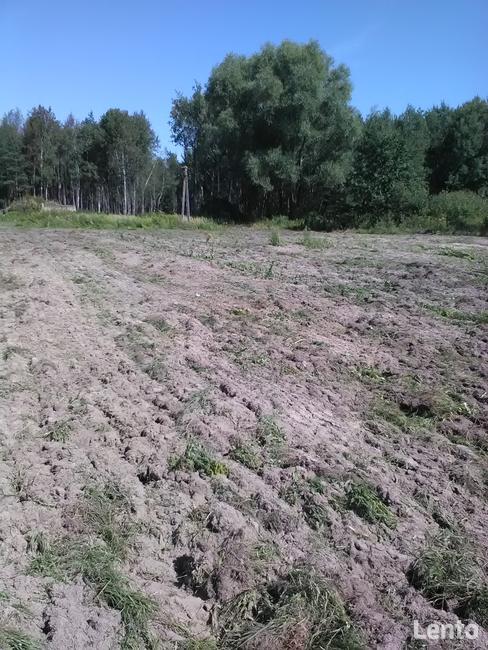 Atrakcyjna działka Dąbrowa Duża