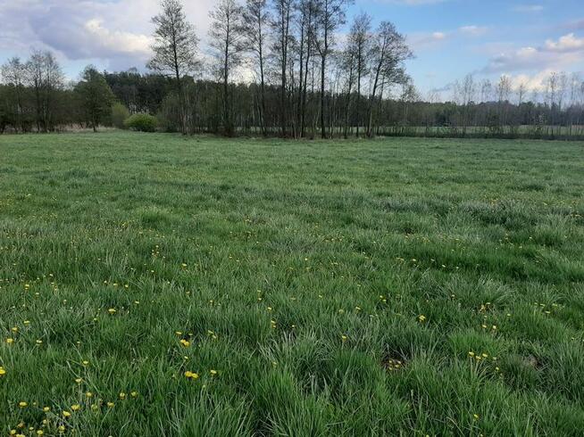 Sprzedam 3300 m2 blisko Tuszyna i Piotrkowa Trybunalskiego