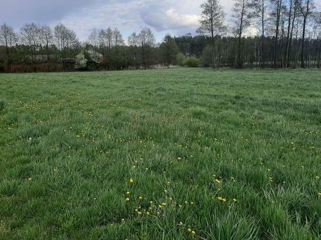 Sprzedam 1100 m2 blisko Tuszyna i Piotrkowa Trybunalskiego