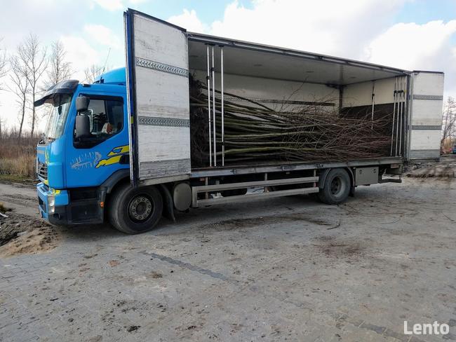 BIG bagażówka XXL Przeprowadzki Winda Paleciak Transport UE