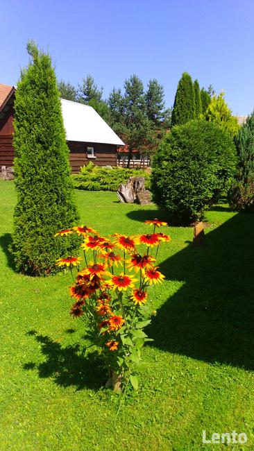 Nocleg, mieszkanie, pokoje goscinne w Bieszczadach