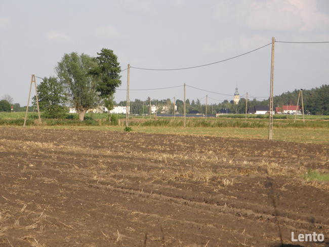 Sprzedam grunt rolny Nieborza k/ Siedlec Wolsztyn