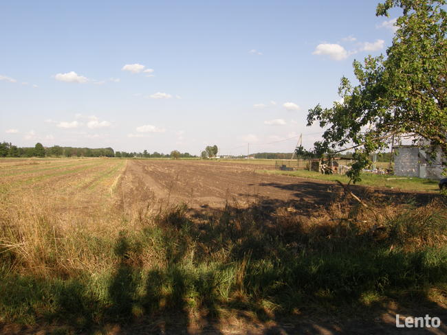 Sprzedam grunt rolny Nieborza k/ Siedlec Wolsztyn
