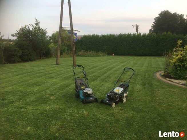 Zakładanie trawników z siewu i z rolki