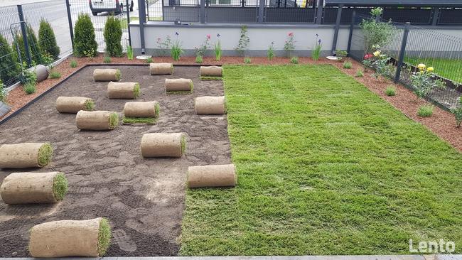 Zakładanie trawników z siewu i z rolki