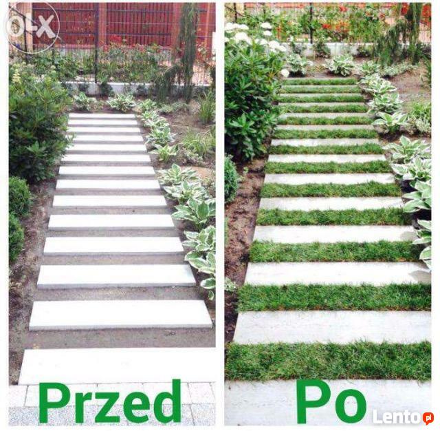 Zakładanie trawników z siewu i z rolki