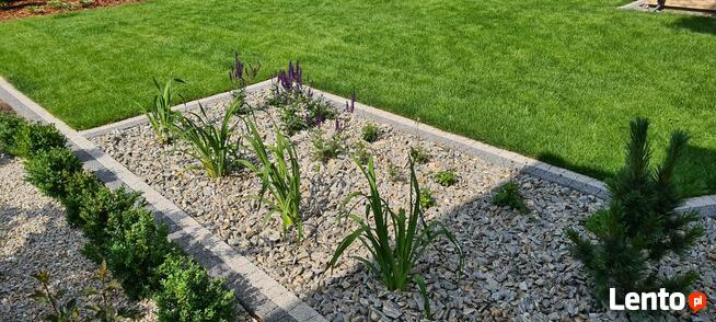 Aranżacja ogrodu i sprzedaż roślin