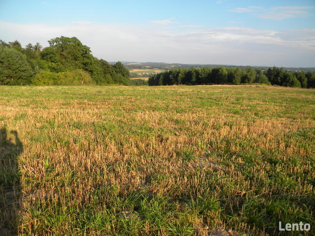 Sprzedam 48 arów działka pod zabudowe