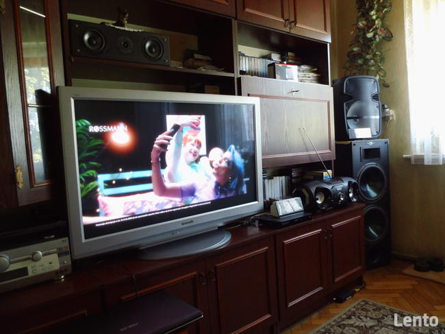 TV Plazmowy Panasonic VIERA Model TX-P42S20ES. Srebrny.