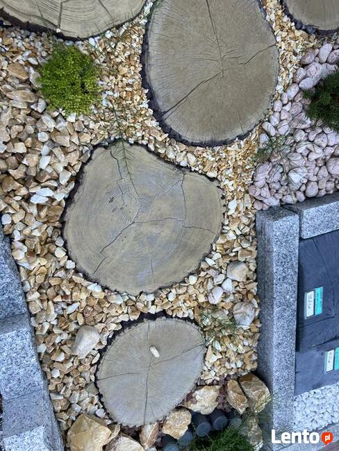 Atrakcyjny Pień betonowy 50 cm