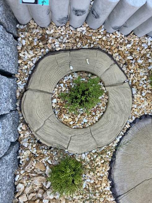 Wyjątkowy Pień DZIUPLA beton