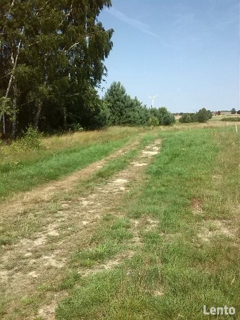 działki bielsk podlaski Na Brańskiej