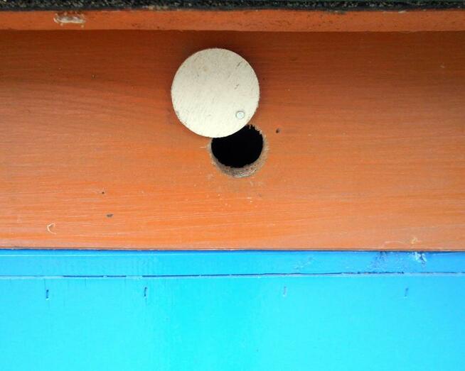 Ul Korpusowy Ule korpusowe na 10 ramek wielkopolskich eko