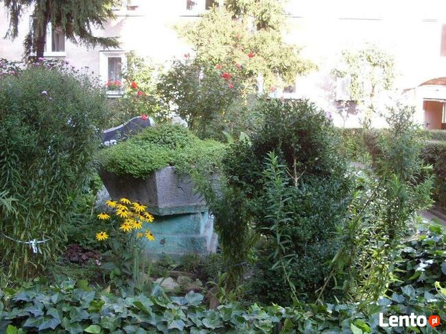 Wynajmę komfortowe mieszkanie dwa pokoje na I p.