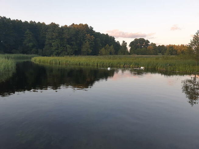Domki i Spływy kajakowe Krutyń