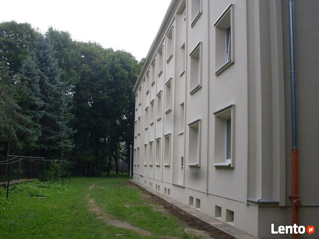 Wynajmę komfortowe mieszkanie dwa pokoje na I p.