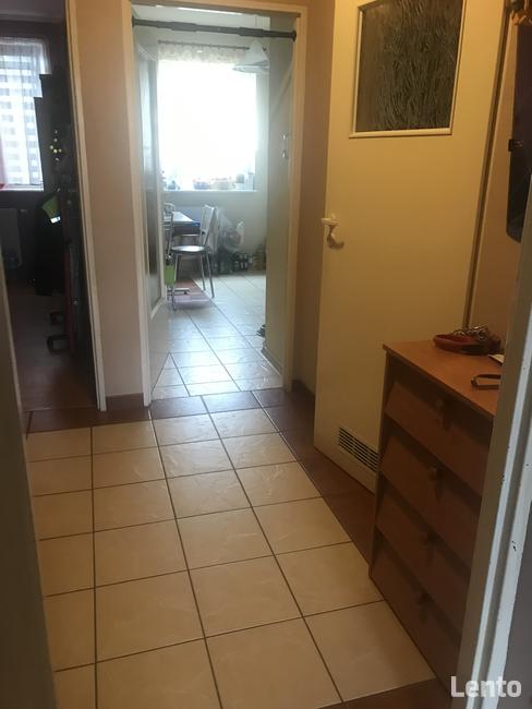 Zamienię mieszkanie 45,71 m2 na większe