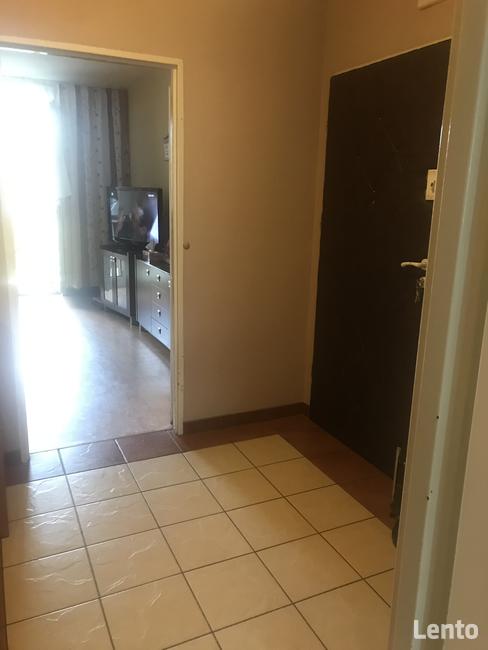 Zamienię mieszkanie 45,71 m2 na większe