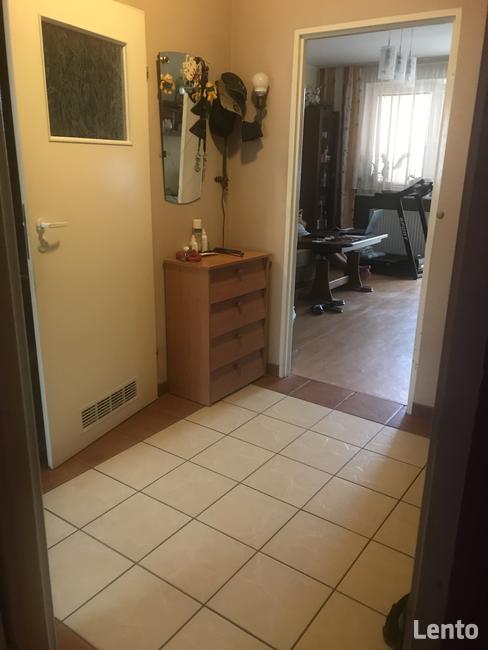 Zamienię mieszkanie 45,71 m2 na większe