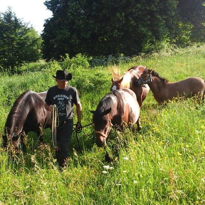 Ropuszy Dwór - Bieszczady Żerdenka - Noclegi, Konie - Jazdy