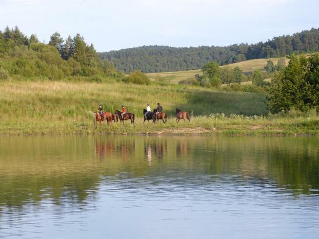 Ropuszy Dwór - Bieszczady Żerdenka - Noclegi, Konie - Jazdy