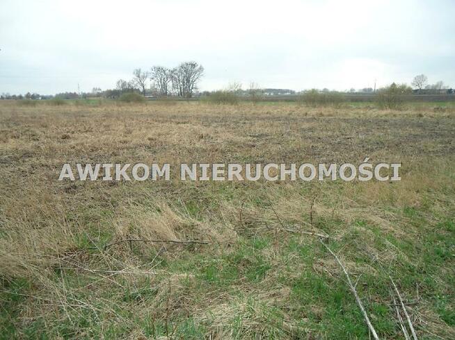 Działka siedliskowa Błonie Wola Łuszczewska