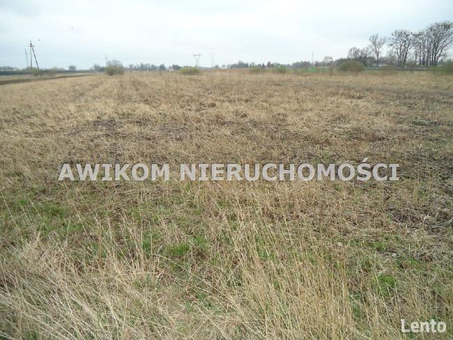 Działka siedliskowa Błonie Wola Łuszczewska