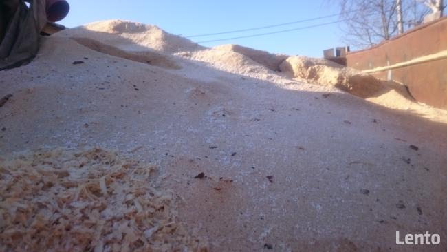 Trociny z dmuchawy sprzedam