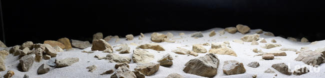 Desert floor - podłoże pustynne