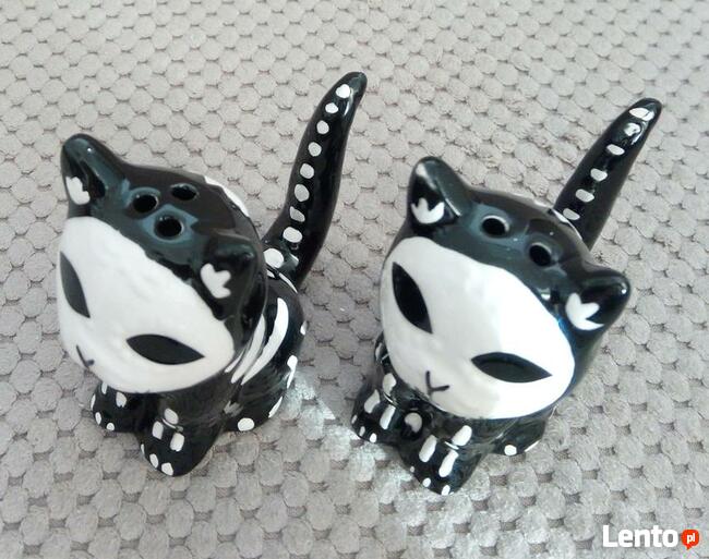 Odjechane Kocie szkielety skull black cat solniczka i pieprz