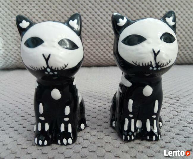 Odjechane Kocie szkielety skull black cat solniczka i pieprz