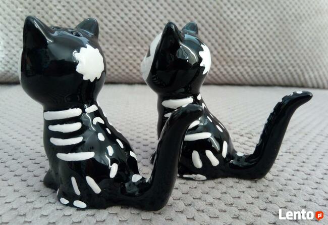 Odjechane Kocie szkielety skull black cat solniczka i pieprz