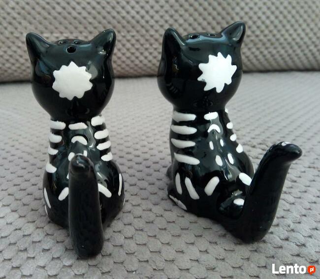 Odjechane Kocie szkielety skull black cat solniczka i pieprz