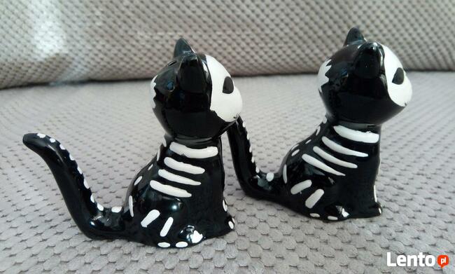 Odjechane Kocie szkielety skull black cat solniczka i pieprz