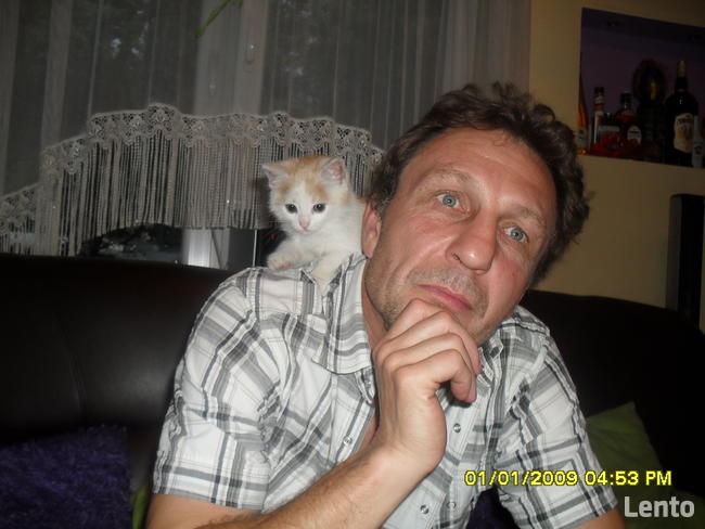 Chętnie poznam fajną kobietę.