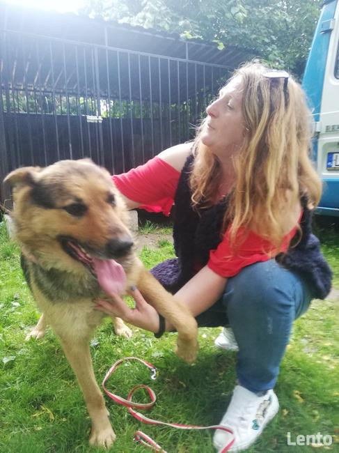 Błagam Laser pies w typ.onka, który przeżył Radysy Monika