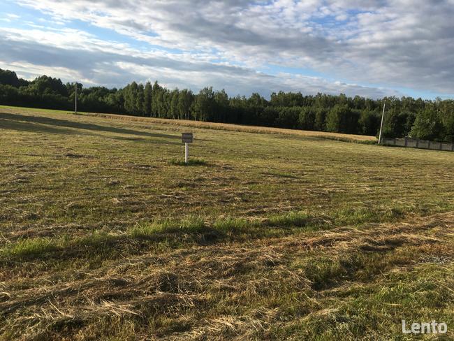 Sprzedam działki rolne