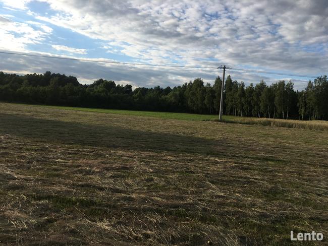 Sprzedam działki rolne