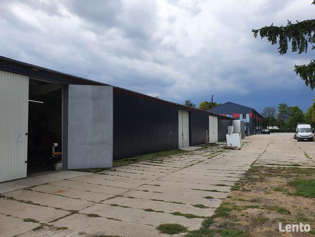 Hala Magazynowa do Wynajęcia 216 m2 Nowy Dwór Maz