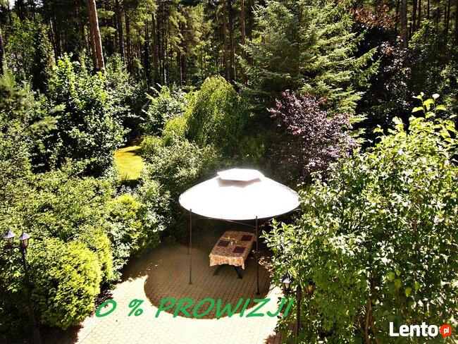 Międzylesie. Rezydencja. Działka 6180 m2