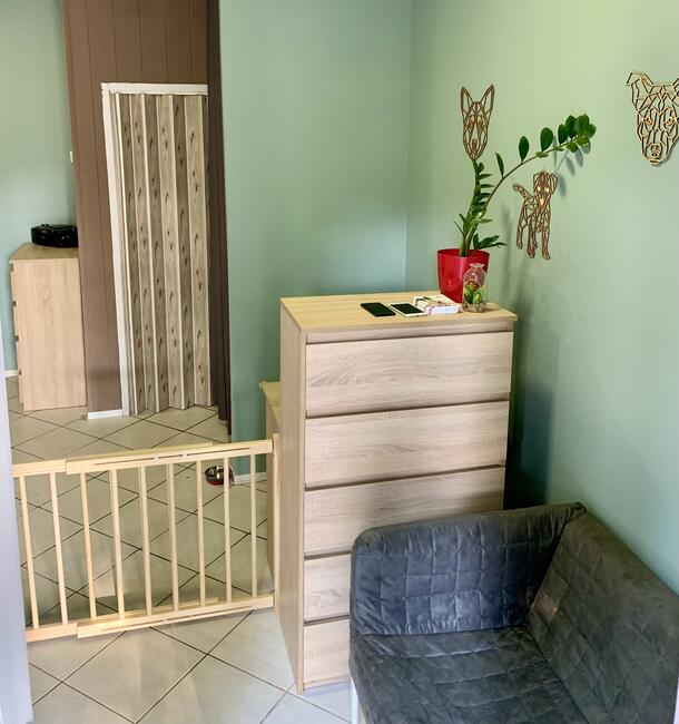 Groomer, psi fryzjer, salon fryzjerski dla psów Zawiercie