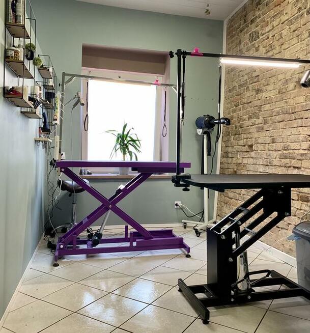 Groomer, psi fryzjer, salon fryzjerski dla psów Zawiercie